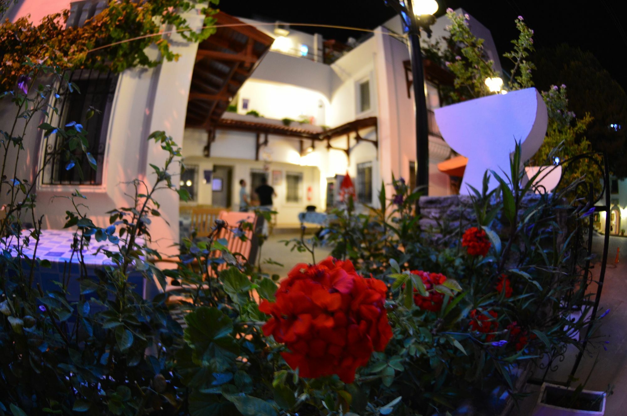 Istankoy Butik Pansiyon Bodrum Exterior foto